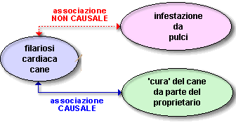 Epidemiologia veterinaria: esempio di associazione non causale