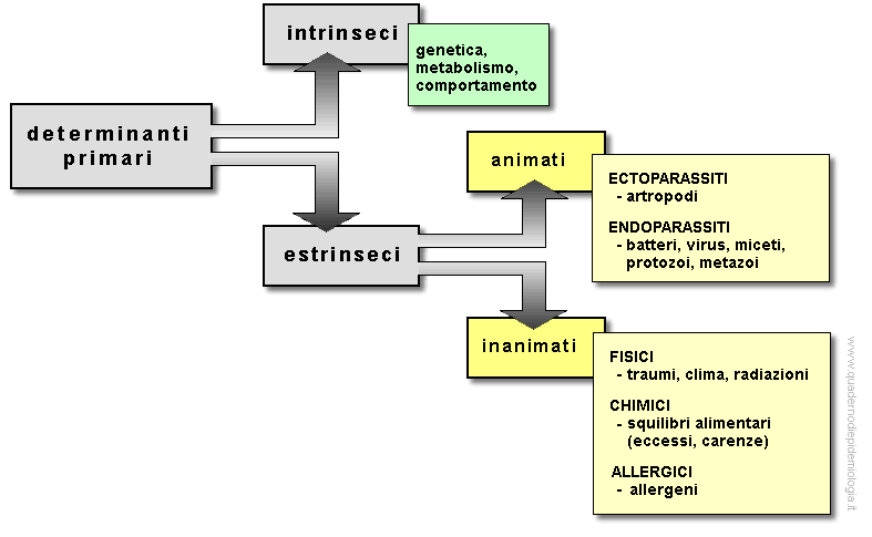 Epidemiologia veterinaria: determinanti primari