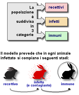 Epidemiologia veterinaria: modello di Reed e Frost (schema)