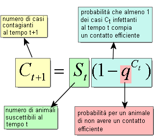 Epidemiologia veterinaria: modello di Reed e Frost (formula)